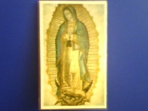 Fotografía de la Imagen de Nuestra Señora de Guadalupe